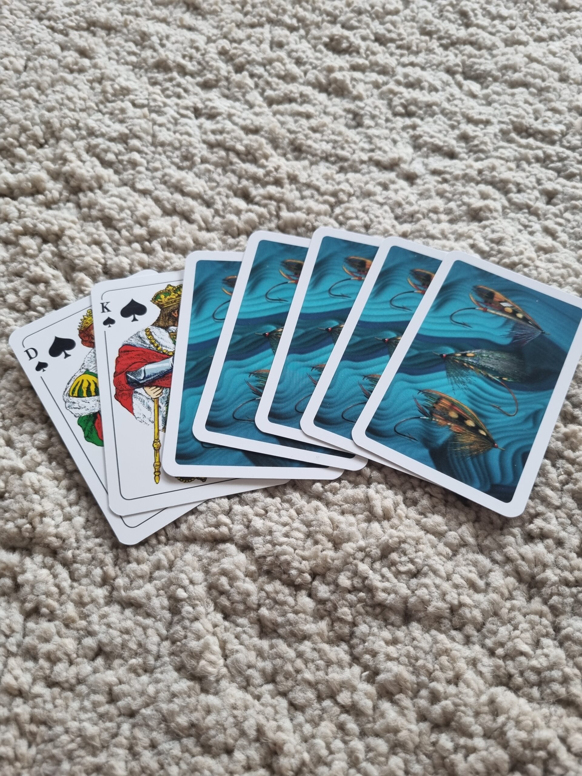 20230213_095215-scaled